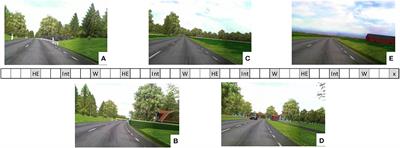 Let Complexity Bring Clarity: A Multidimensional Assessment of Cognitive Load Using Physiological Measures